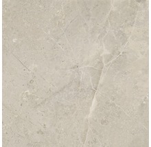 Produktbild: Feinsteinzeug Wand- und Bodenfliese Anden 60 x 60 x 0,9 cm Bone matt beige R9 A