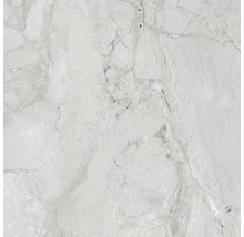 Feinsteinzeug Wand- und Bodenfliese Sicilia 60 x 60 x 0,9 cm Cenere poliert grau