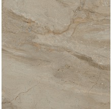 Feinsteinzeug Wand- und Bodenfliese Sicilia 60 x 60 x 0,9 cm Miele poliert braun