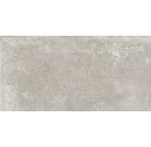 Feinsteinzeug Wand- und Bodenfliese Greenwich greige matt grau 60 x 120 cm