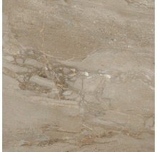 Feinsteinzeug Wand- und Bodenfliese Sicilia 80 x 80 x 0,97 cm Miele poliert braun
