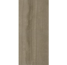 XXL Feinsteinzeug Wandfliese Living Cinnamon 120 x 260 x 0,7 cm poliert braun