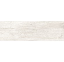 Wand- und Bodenfliese Tradizione Bianco 15x61cm