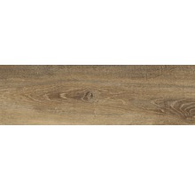 Wand- und Bodenfliese Tradizione Bruno 15x61cm