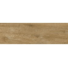 Wand- und Bodenfliese Tradizione Miele 15x61cm