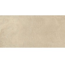 Feinsteinzeug Wand- und Bodenfliese Aspen beige 30x60 cm