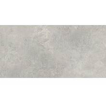 Feinsteinzeug Wand- und Bodenfliese Aspen grigio 60x120 cm