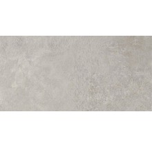 Feinsteinzeug Wand- und Bodenfliese Aspen grigio 30x60 cm