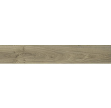 Feinsteinzeug Wand- und Bodenfliese Silentwood Miele 20x120cm rektifiziert