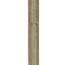 Holzdiele mit Maserung