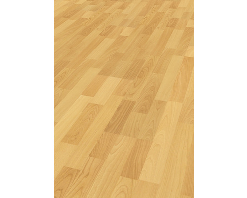Handmuster Laminat 6.0 Basic Buche