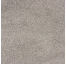 Wand- und Bodenfliese Udine Beige-Grau unglasiert 60 x 60 cm