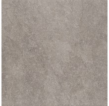 Wand- und Bodenfliese Udine Beige-Grau unglasiert 80 x 80 cm