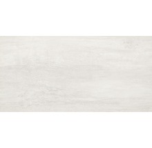 Wandfliese Kerateam Aveo grau glänzend 30x60 cm