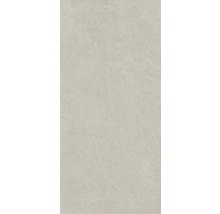 XXL Wand- und Bodenfliese Steuler Kalmit zement 120x260 cm