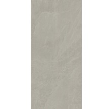 XXL Wand- und Bodenfliese Steuler Kalmit taupe 120x260 cm