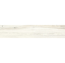 Wand- und Bodenfliese Aretino ivory 24x120 cm