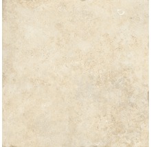 Wand- und Bodenfliese Apulia cream 60,5x60,5 cm