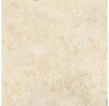 Wand- und Bodenfliese Apulia cream 40,6x40,6 cm