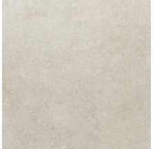 Wand- und Bodenfliese Sandstein beige 60x60 cm
