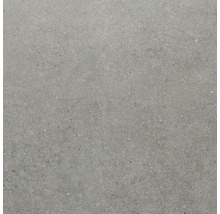 Wand- und Bodenfliese Sandstein grau 60x60 cm