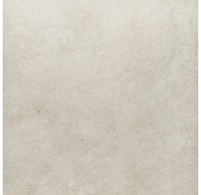 Wand- und Bodenfliese Sandstein beige 100x100 cm