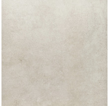 Produktbild: Wand- und Bodenfliese Sandstein beige 100x100 cm