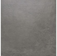 Wand- und Bodenfliese Sandstein schwarz 100x100 cm