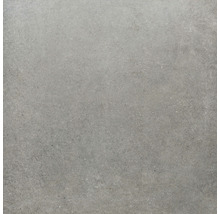 Wand- und Bodenfliese Sandstein grau 100x100 cm