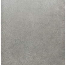 Produktbild: Wand- und Bodenfliese Sandstein grau 100x100 cm