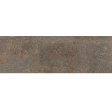 Feinsteinzeug Terrassenplatten Roccia bruno 40x120x2 cm