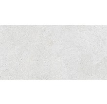 Hellgraue Fliese mit leicht gesprenkelter Oberfläche.