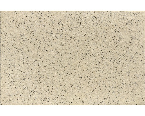 Betonpflasterstein mit gesprenkelter Oberfläche