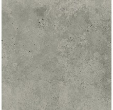 Produktbild: Feinsteinzeug Wand- und Bodenfliese Candy light grey 59,8 x 59,8 cm rektifiziert