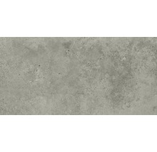 Feinsteinzeug Wand- und Bodenfliese Candy light grey 59,8 x 119,8 cm rektifiziert