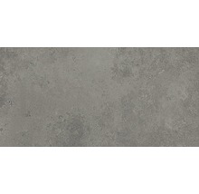 Feinsteinzeug Wand- und Bodenfliese Candy grey 59,8 x 119,8 cm rektifiziert