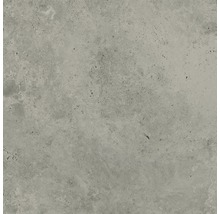 Feinsteinzeug Wand- und Bodenfliese Candy light grey 79,8 x 79,8 cm rektifiziert