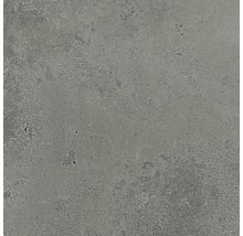 Feinsteinzeug Wand- und Bodenfliese Candy grey 59,8 x 59,8 cm rektifiziert
