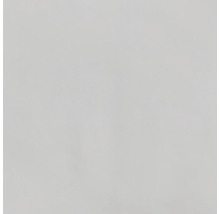 Wandfliese Fes bianco 13x13 cm