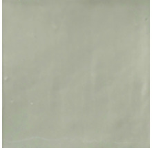 Wandfliese Fes menta 13x13 cm