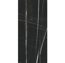 XXL Feinsteinzeug Wandfliese Scandium Black poliert 120 x 260 cm 7mm