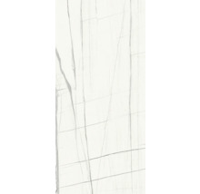 XXL Feinsteinzeug Wand- und Bodenfliese Scandium white poliert 120 x 260 cm 7 mm