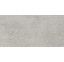 Wand- und Bodenfliese Fog grau 29,8 x 59,8 cm