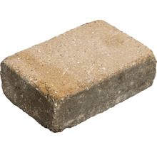 Pflasterstein aus Beton