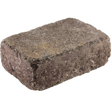 Pflasterstein