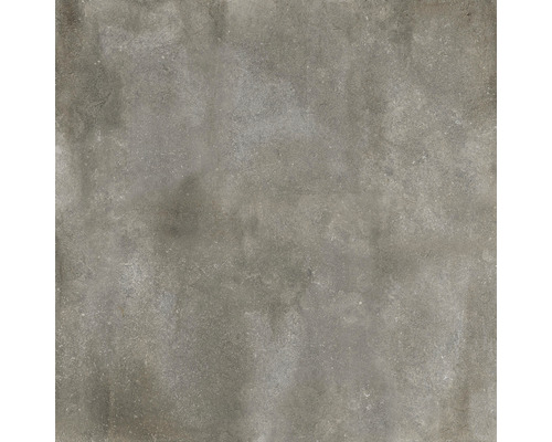 Feinsteinzeug Terrassenplatte Cementino grau 120x120x2cm