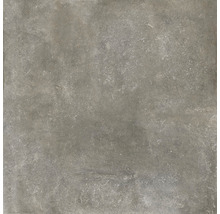 Feinsteinzeug Terrassenplatte Cementino grau 120x120x2cm