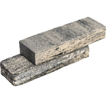 Zwei Pflasterklinker aus Beton