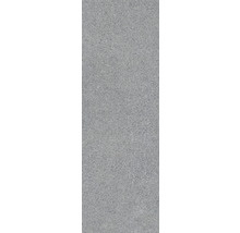 Feinsteinzeug Terrassenplatte Phoenix grau 120 x 40 x 3 cm rektifizierte Kante