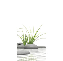 Dekorative Steine und Gras im Wasser